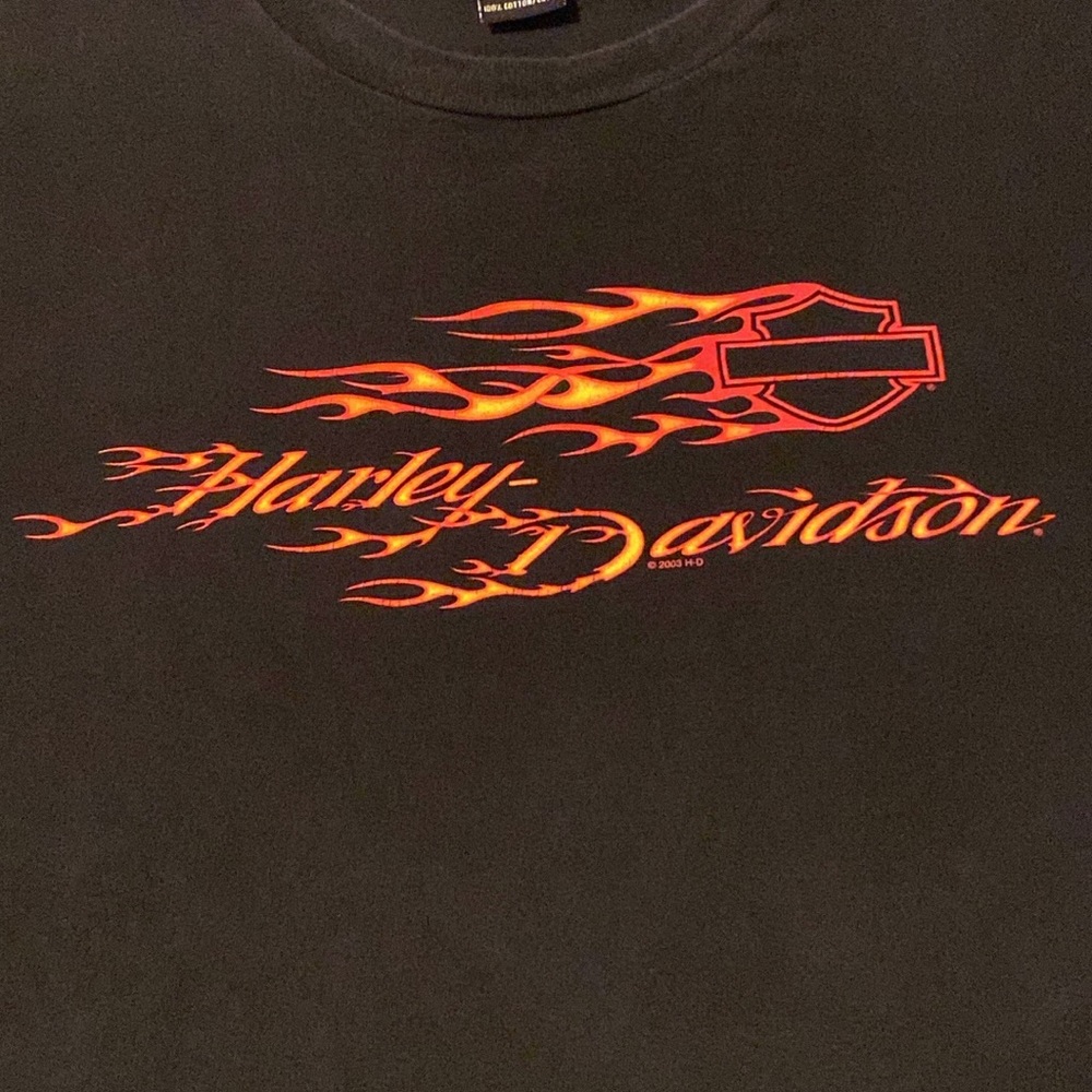 Y2K Harley Davidson Flames Logo Harley Haven T Shirt Black XXXL